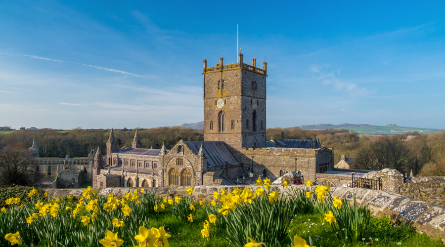 How to Celebrate St Davids Day