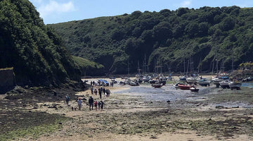 Solva Harbour Beach Clean with Surfers Against Sewage