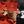 Load image into Gallery viewer, packaged ginger welsh cakes with a mamgu welshcakes label, orange table cloth on a black work top
