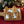 Load image into Gallery viewer, Gingerbread Men Welsh Cakes Christmas Gift
