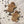 Load image into Gallery viewer, Spooky Halloween Welsh Cake Decorating @ MamGu Welshcakes St Davids
