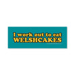Load image into Gallery viewer, A rectangular teal bumper sticker with the text 'I work out to eat WELSHCAKES' in yellow letters outlined in black.
