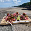 Load image into Gallery viewer, Patagonian Pork Tacos at the beach
